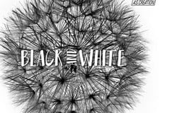 Тапети Black & White