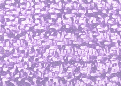 Мазилка JUTA RIF.900