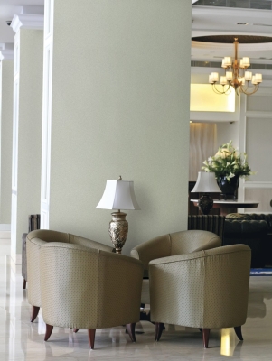 Мазилка POLISTOF P 356 + L50