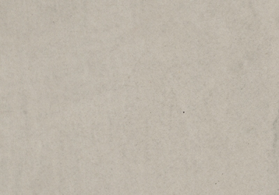 VALPAINT I-Beton за под и плочки 449 C