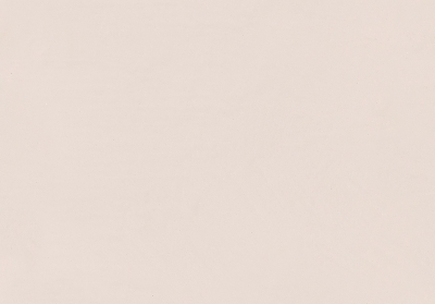 Мазилка METEORE 10 INTONACO 456C