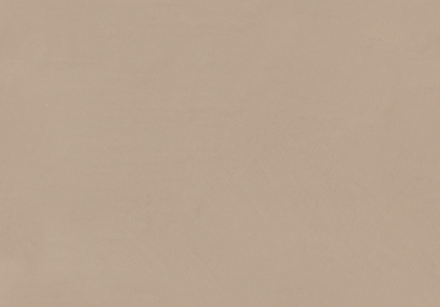 Мазилка METEORE 10 INTONACO 470B