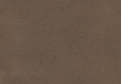 Мазилка METEORE 10 INTONACO 481A