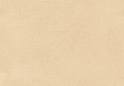 Мазилка METEORE 10 INTONACO 489B