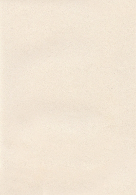 Мазилка POLISTOF P 300