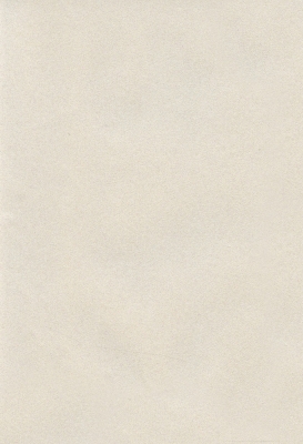 Мазилка POLISTOF P 300 + L50