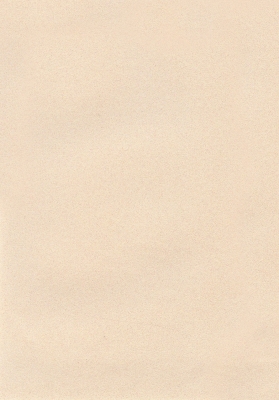 Мазилка POLISTOF P 301