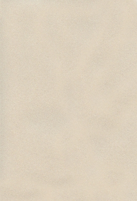 Мазилка POLISTOF P 301 + L50