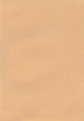 Мазилка POLISTOF P 302