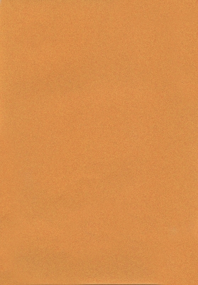 Мазилка POLISTOF P 303