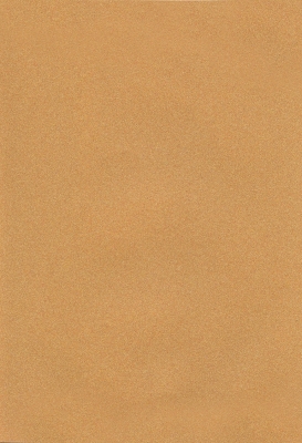 Мазилка POLISTOF P 303 + L50