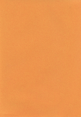 Мазилка POLISTOF P 305