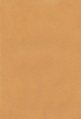 Мазилка POLISTOF P 305 + L50