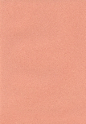 Мазилка POLISTOF P 306