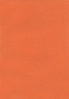 Мазилка POLISTOF P 307