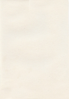 Мазилка POLISTOF P 308