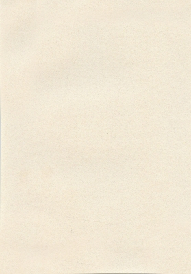 Мазилка POLISTOF P 309