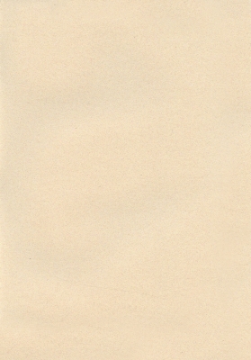 Мазилка POLISTOF P 310