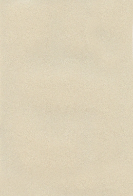 Мазилка POLISTOF P 310 + L50