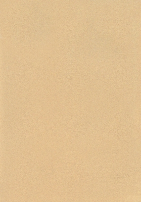 Мазилка POLISTOF P 311