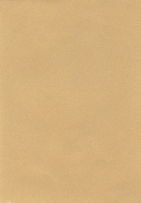 Мазилка POLISTOF P 312