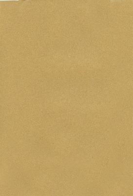 Мазилка POLISTOF P 313 + L50