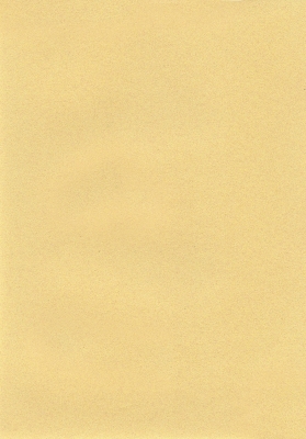 Мазилка POLISTOF P 314