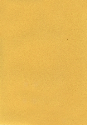 Мазилка POLISTOF P 315