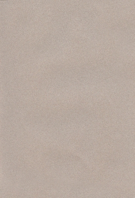 Мазилка POLISTOF P 318 + L50