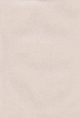 Мазилка POLISTOF P 324 + L50