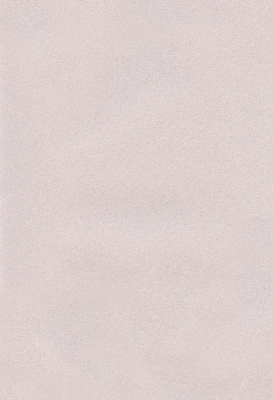 Мазилка POLISTOF P 332 + L50