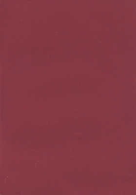 Мазилка POLISTOF P 337