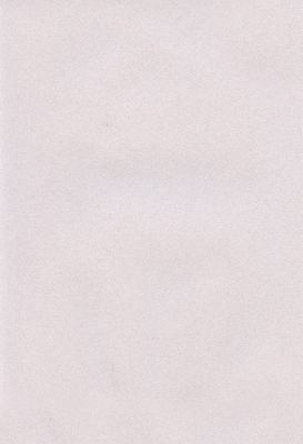 Мазилка POLISTOF P 340 + L50