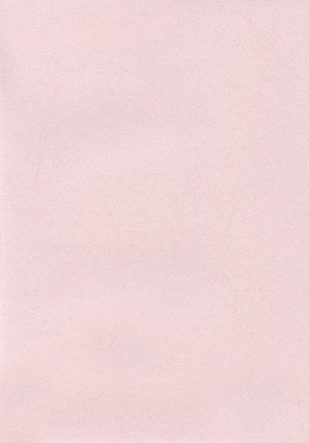 Мазилка POLISTOF P 341