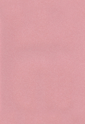 Мазилка POLISTOF P 343 + L50