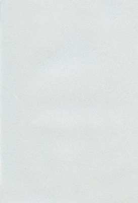 Мазилка POLISTOF P 348 + L50