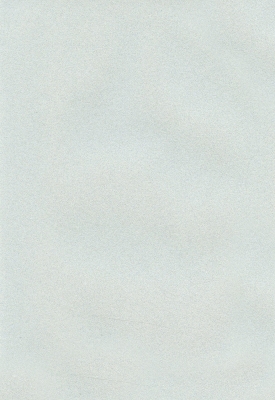 Мазилка POLISTOF P 349 + L50