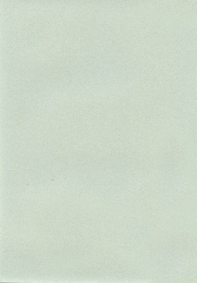 Мазилка POLISTOF P 350