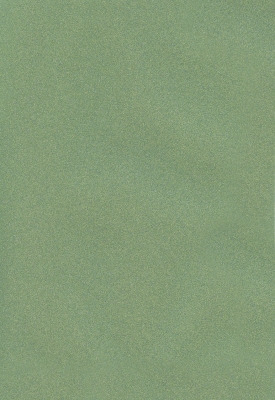 Мазилка POLISTOF P 359 + L50