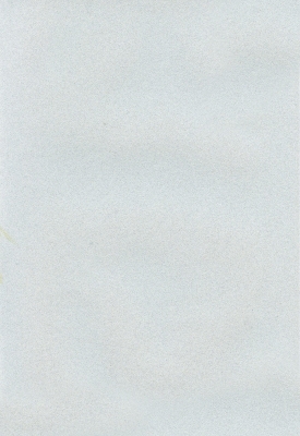 Мазилка POLISTOF P 364 + L50