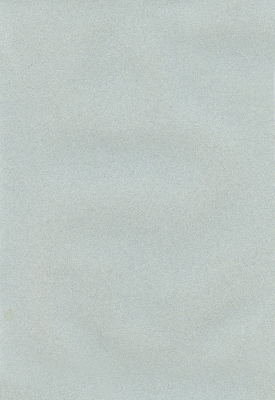 Мазилка POLISTOF P 365 + L50