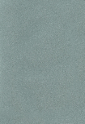 Мазилка POLISTOF P 368 + L50