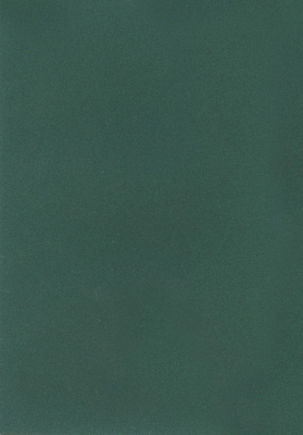 Мазилка POLISTOF P 369