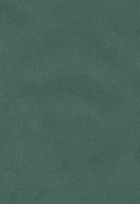 Мазилка POLISTOF P 369 + L50