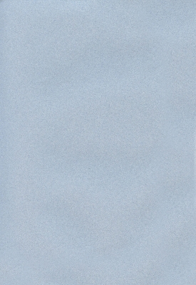 Мазилка POLISTOF P 373 L50