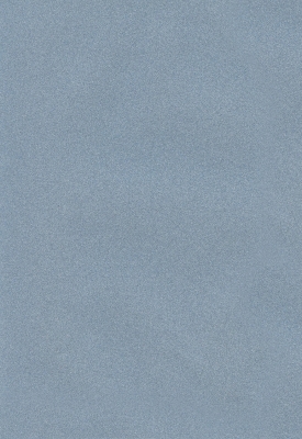 Мазилка POLISTOF P 374 + L50