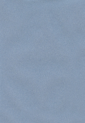 Мазилка POLISTOF P 376 + L50