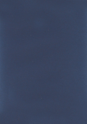 Мазилка POLISTOF P 379