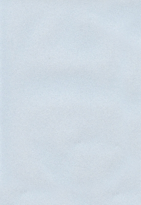 Мазилка POLISTOF P 381 + L50