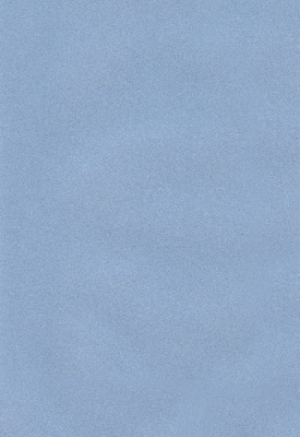 Мазилка POLISTOF P 383 + L50